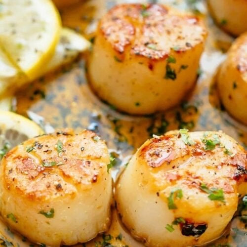 Wild Caught Jumbo Sea Scallops Rowe Family Farms Cleveland, TN